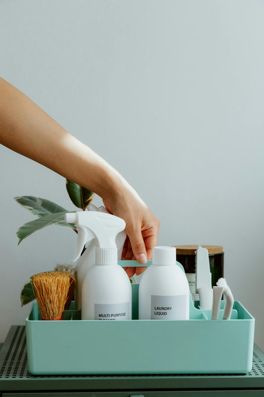 Using Order History From Cleaning Products Online Platforms to Forecast Future Stock Needs